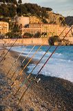 _dsc4544_quick