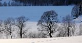 lindeijer_2006-03-23_023