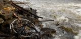 lindeijer_2006-04-27_045