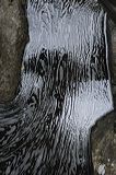 lindeijer_2006-07-09_015