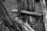 lindeijer_2006-07-09_028